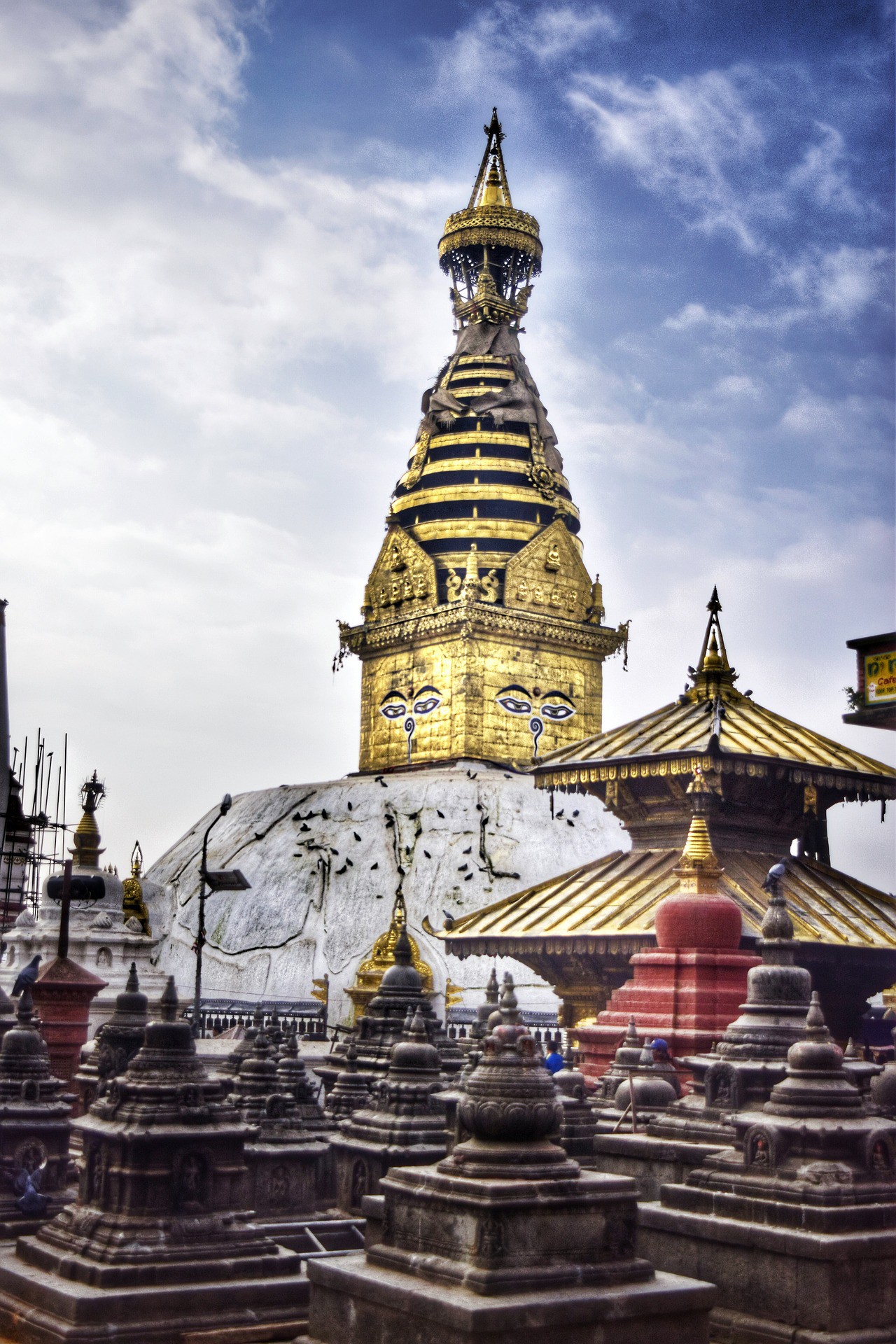 Cultural and Festivals