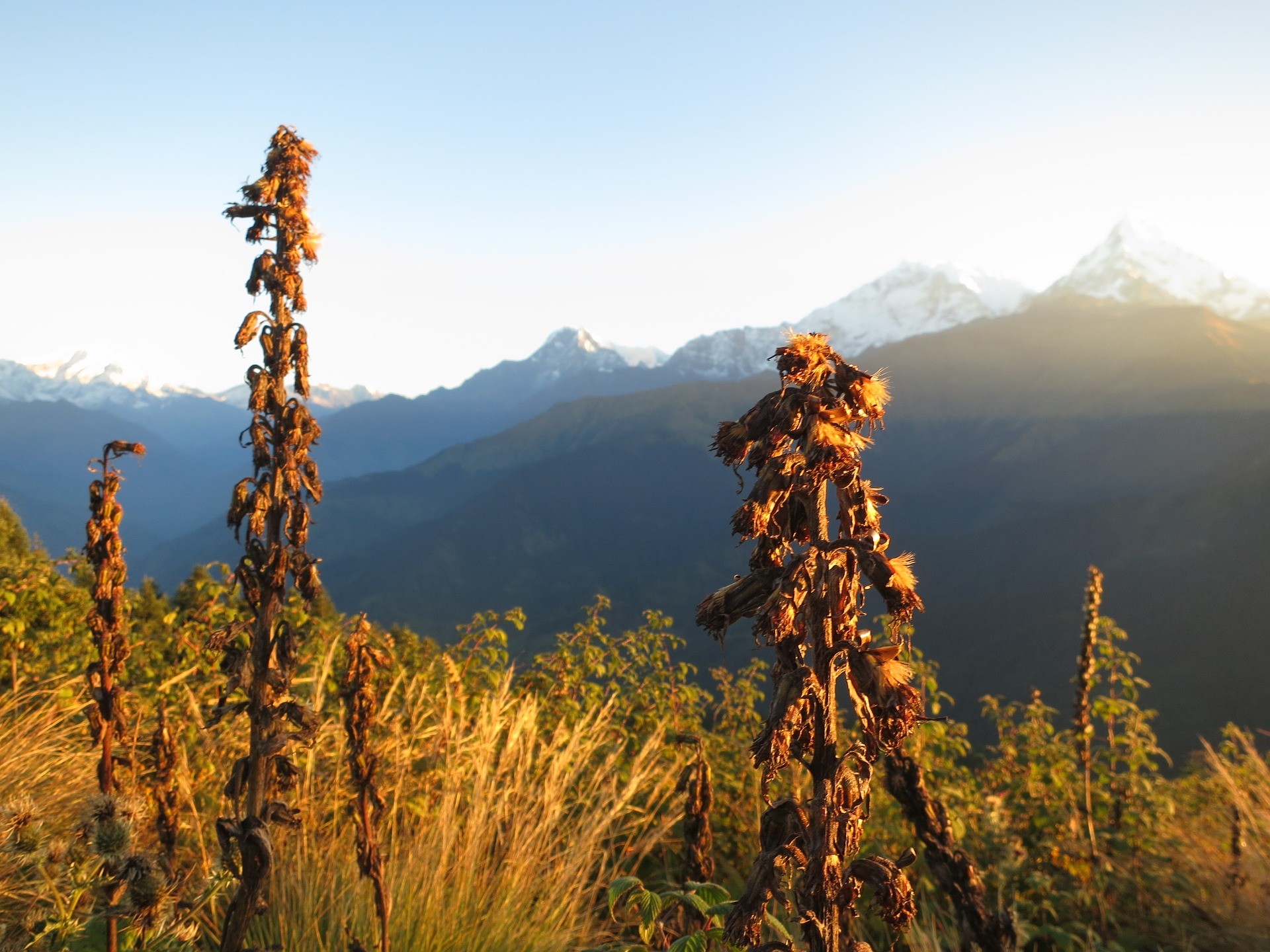 Ghorepani Poon Hill Trek